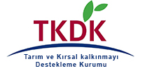 tkdk